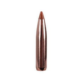 Nosler Bullet 6.5mm (264 Diameter) 140 gr Ballistic Tip Hunting Nosler Bullet 6.5mm (264 Diameter) 140 gr Ballistic Tip Hunting