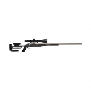Dolphin Rifle 308 Winchester Modular Stock