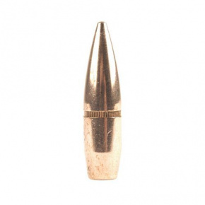 Hornady Bullet 303 cal (3105 Diameter) 174 gr FMJ BT