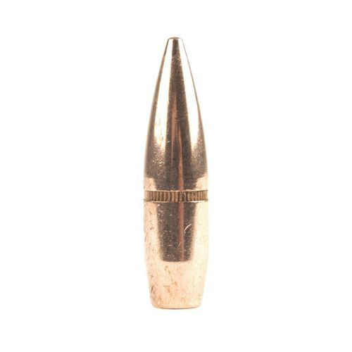 Hornady Bullet 303 cal (3105 Diameter) 174 gr FMJ BT