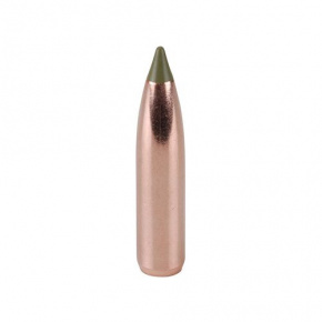 Nosler Bullet 270 cal (277 Diameter) 130 gr E-Tip