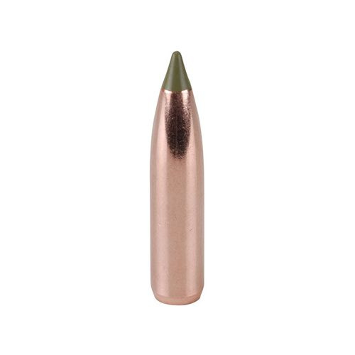Nosler Bullet 270 cal (277 Diameter) 130 gr E-Tip