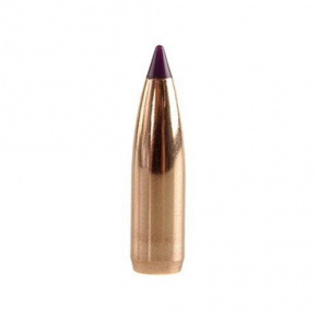 Nosler Bullet 6mm (243 Diameter) 80 gr Ballistic Tip Varmint Nosler Bullet 6mm (243 Diameter) 80 gr Ballistic Tip Varmint