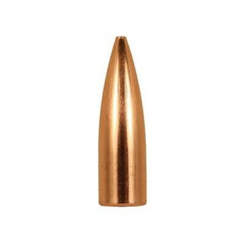 Hornady Bullet 6mm (243 Diameter) 75 gr V-MAX™
