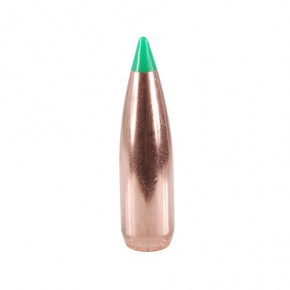 Nosler Bullet 30 cal (308 Diameter) 150 gr Ballistic Tip Hunting