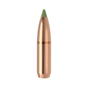 Nosler Bullet 30 cal (308 Diameter) 180 gr E-Tip