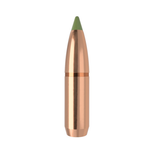 Nosler Bullet 30 cal (308 Diameter) 180 gr E-Tip
