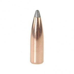 Nosler Bullet 30 cal (308 Diameter) 165 gr Partition