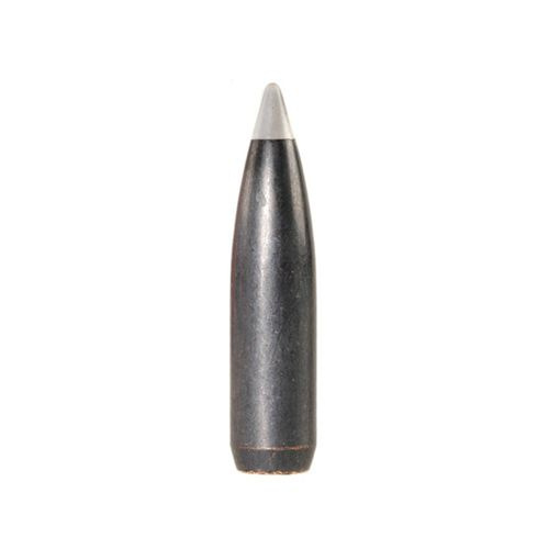 Nosler Bullet 7mm (284 Diameter) 140 gr Ballistic Silvertip