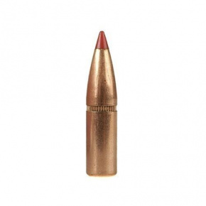 Hornady Bullet 6mm (243 Diameter) 95 gr SST®