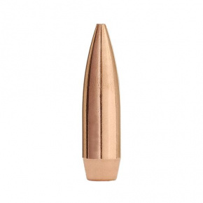Sierra Bullet 22 cal (224 Diameter) 69 gr HPBT Match