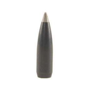 Nosler Bullet 30 cal (308 Diameter) 150 gr Ballistic Silvertip Nosler Bullet 30 cal (308 Diameter) 150 gr Ballistic Silvertip