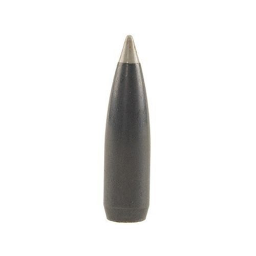 Nosler Bullet 30 cal (308 Diameter) 150 gr Ballistic Silvertip