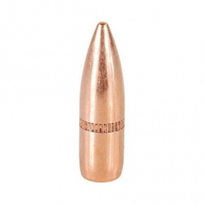Speer Bullet 22 cal (224 Diameter) 62 gr FMJ-BT