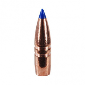 Barnes Bullet 22 cal (224 Diameter) 53 gr XFB