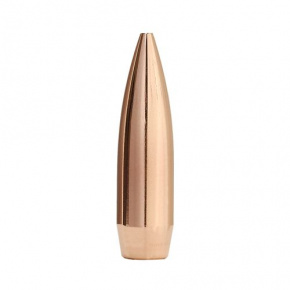 Sierra Bullet 303 cal (311 Diameter) 174 gr HPBT Match