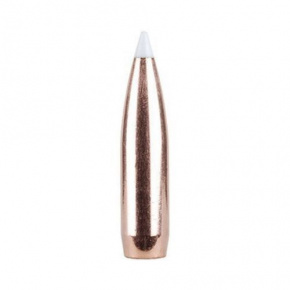 Nosler Bullet 338 cal (338 Diameter) 250 gr AccuBond