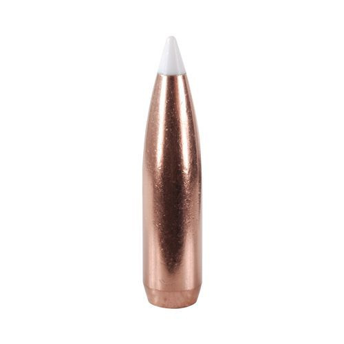 Nosler Bullet 30 cal (308 Diameter) 180 gr AccuBond
