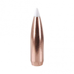 Nosler Bullet 30 cal (308 Diameter) 165 gr AccuBond