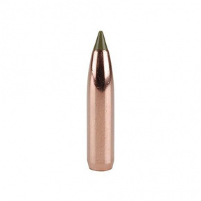Nosler Bullet 7mm (284 Diameter) 150 gr E-Tip