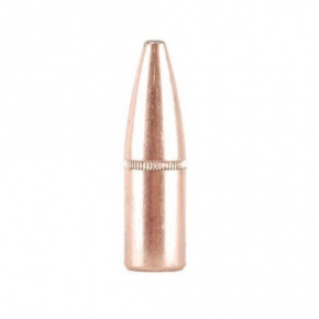 Hornady Bullet 9.3 cal (366 Diameter) 286 gr InterLock® SP-RP