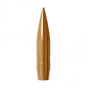 Lapua Bullet 50 cal (510 Diameter) 750 gr Bullex-N