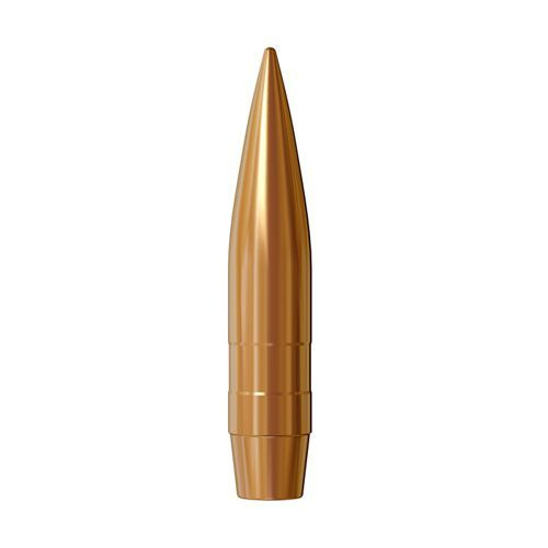 Lapua Bullet 50 cal (510 Diameter) 750 gr Bullex-N