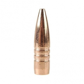 Barnes Bullet 30 cal (308 Diameter) 200 gr XFB