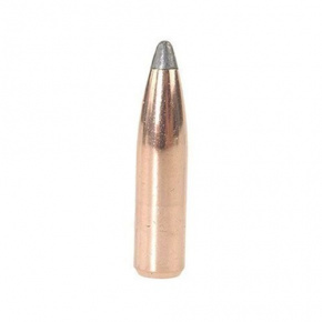 Nosler Bullet 6mm (243 Diameter) 100 gr Partition