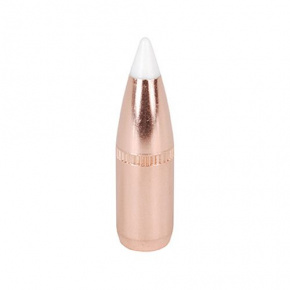 Nosler Bullet 6.8mm (277 Diameter) 100 gr AccuBond Nosler Bullet 6.8mm (277 Diameter) 100 gr AccuBond